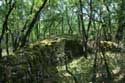 Small walls / probably remains of wineyards Daglan / FRANCE: 