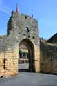 Gate Del Bos Domme / FRANCE: 