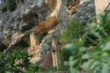 Rotsen van La Roque Gageac La Roque-Gageac / FRANKRIJK: 