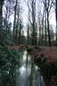 Forêt - Parque communal MERKSEM / ANVERS photo: 