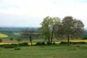 Landscape with Horse Charroux / FRANCE: 