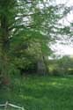 Moulin  Eau Saint Didier la Fort / FRANCE: 