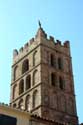 Sint-Eulaliecathedraal Elne / FRANKRIJK: 