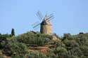 Mill Collioure / FRANCE: 