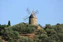 Moulin Collioure / FRANCE: 