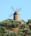 Mill Collioure / FRANCE: 