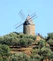 Moulin Collioure / FRANCE: 