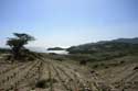 Coast Line Port Vendres / FRANCE: 