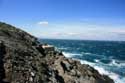 Ruins of Fort on Bear Cape Port Vendres / FRANCE: 