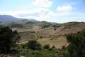 Wineyards Port Vendres / FRANCE: 