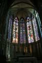 Saint Nazar's basilica Carcassonne / FRANCE: 