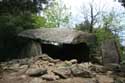 Balma Del Moro Dolmen Laroques Les Albres / FRANCE: 