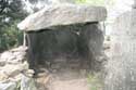 Dolmen van Balma Del Moro Laroques Les Albres / FRANKRIJK: 