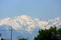 The Canigou Ille sur Tt / FRANCE: 