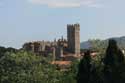 Carmelites' church Ille sur Tt / FRANCE: 