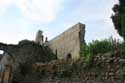 Ruines ancien Chteau Verneuil en Bourbonnais / FRANCE: 