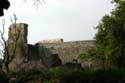 Ruines ancien Chteau Verneuil en Bourbonnais / FRANCE: 