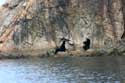 Playa Silencio (Stil Strand) Castaeras in CUDILLERO / Spanje: 