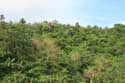 View From Quezon National Park Pagbilao / Philippines: 