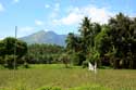 Mountagne Iriga (Aussi connu comme Mont Assog) Baao / Philippines: 