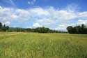 Landschap met rijstvelden en Iriga berg Buhi / Filippijnen: 