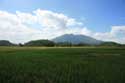 Paysage avec champs de riz et Iriga montagne Buhi / Philippines: 