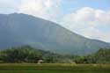 Paysage avec champs de riz et Iriga montagne Buhi / Philippines: 