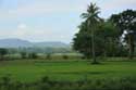 Paysage Nabua / Philippines: 