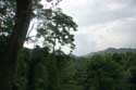 Forest Landscape (in San Vincente Gorong-Gorong) Nabua / Philippines: 