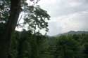 Paysage Forrestier ( San Vincente Gorong-Gorong) Nabua / Philippines: 