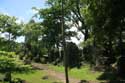 Cagsawa Church Tower Ruins Daraga / Philippines: 