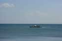 Butanding - Whaleshark searching Donsol / Philippines: 