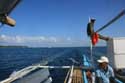 Butanding - Whaleshark searching Donsol / Philippines: 