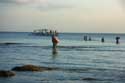 Butanding - Whaleshark searching Donsol / Philippines: 