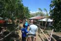 Horses Tagaytay City / Philippines: 