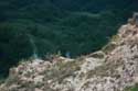 Taal (Ta-Al) Volcano Crater Tagaytay City / Philippines: 