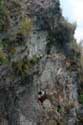 Taal (Ta-Al) Volcano Crater Tagaytay City / Philippines: 