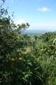 Point de Vue Tagaytay City / Philippines: 