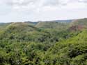 Chocolade Heuvels Bohol Eiland in Bohol Island / Filippijnen: 