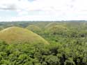 Chocolade Heuvels Bohol Eiland in Bohol Island / Filippijnen: 