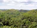 Chocolade Heuvels Bohol Eiland in Bohol Island / Filippijnen: 