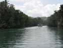 Rivier Bohol Eiland in Bohol Island / Filippijnen: 