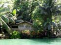 Rivier Bohol Eiland in Bohol Island / Filippijnen: 