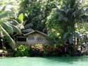 Rivier Bohol Eiland in Bohol Island / Filippijnen: 