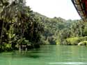 Rivire Ile de Bohol  Bohol Island / Philippines: 