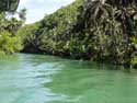 Rivier Bohol Eiland in Bohol Island / Filippijnen: 