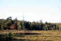 Spiegelaere Pool in Maldegem Field MALDEGEM / BELGIUM: 