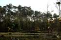 Spiegelaere Pool in Maldegem Field MALDEGEM / BELGIUM: 