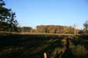 Spiegelaere Pool in Maldegem Field MALDEGEM / BELGIUM: 