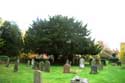 Saint Laurence Church WARBOROUGH / United Kingdom: 